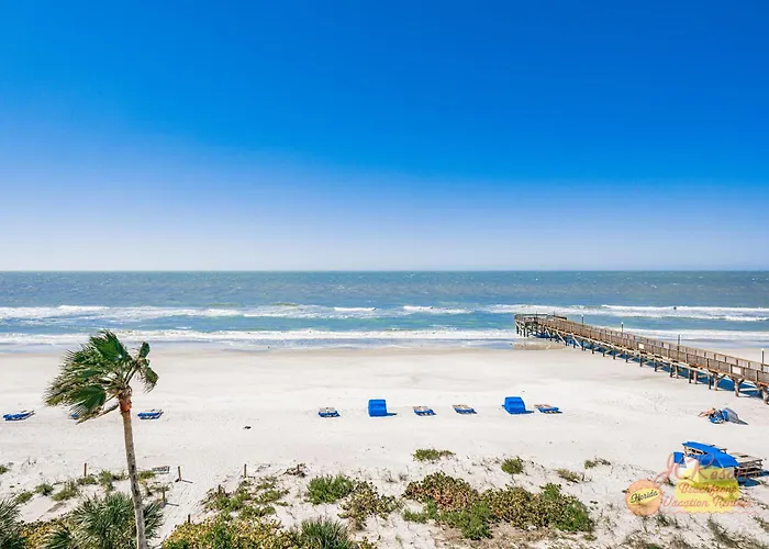 Palms 409